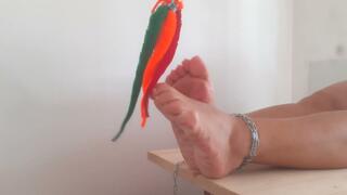 Superfox and the nasty cloth hairy tickling worms