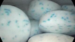 Microscopic POV Swallowed Alive: Being Eaten as a Breath Mint (Inside Mouth View)