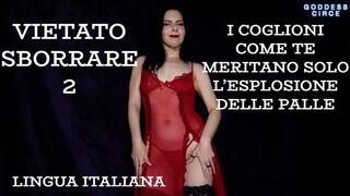LINGUA ITALIANA - VIETATO SBORRARE 2 - I COGLIONI COME TE MERITANO SOLO L’ESPLOSIONE DELLE PALLE