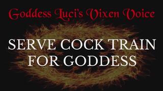 Serve Cock Train For Goddess