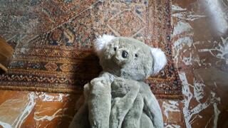 PLUSHY FRIEND LOVES PANTYHOSE SMELLY FEET