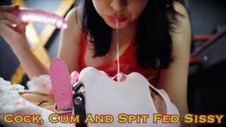 Cock Cum And Spit Fed Sissy (HD 4K MP4)