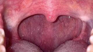 Vore Compilation just the good stuff