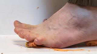 Breaking the pliable tiny