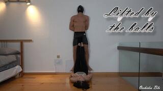 ORCHIDEA - LIFTED BY THE BALLS