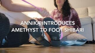 Annika Introduces Amethyst to Foot Shibari