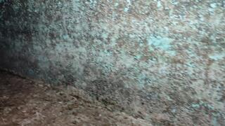 Giant woman crushing a tiny man (1)