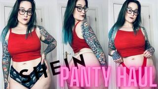 Shein Sheer Pantie Try On