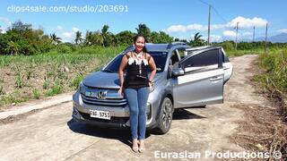 289 - Apple problem with Honda