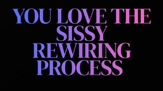 YOU LOVE THE SISSY DIAPER REWIRING PROCESS