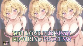 MP4 VERSION YOU LOVE THE SISSY DIAPER REWIRING PROCESS