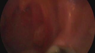 chewing up and spitting you out and playing with you inside my mouth