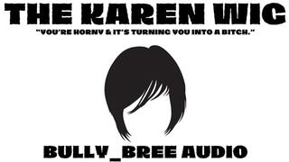 The Karen Wig Audio