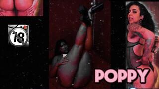 Spotlight Series Vol One Poppy & Fernanda Uzi