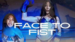 Face To Fist (4k)
