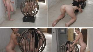 Our new round cage - mp4 1080p
