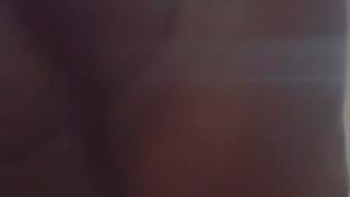 ips 7D41B75C 0768 42C9 BAAE 2DEBBBBD532C