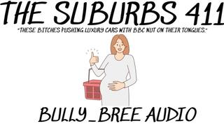 The Suburbs 411 Audio