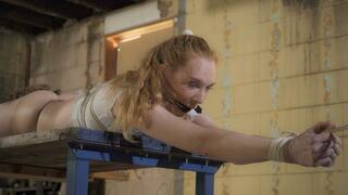 Ariel Anderssen Suspend pt5