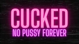 Cucked : No pussy forever!