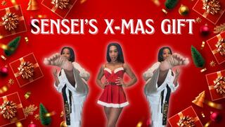 SENSEI'S X-MAS GIFT