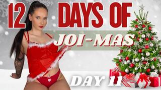 12 Days of JOI-MAS - Day 11