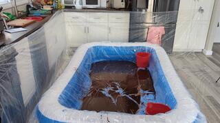 Disgusting Girls play in RECYCLED MESS