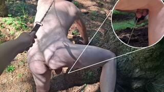 A boy on all fours pees near a tree