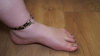 BBW feet worship #30