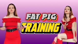 Fat piggy training