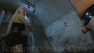 LADY SALINA - FLOGGER V MAX