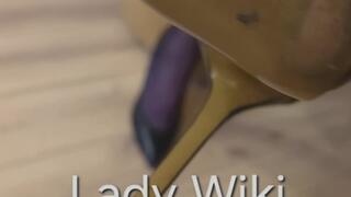 Femdom Through the Eyes of My Slave