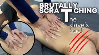 C4Sdominate25 The Queen With Long Fingernails Scratched Fiercely At The Slave's Back | LINH'S LONG NAIL | CRAZY ABOUT LONG AND NATURAL NAILS