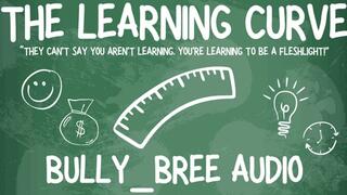 The Learning Curve Audio