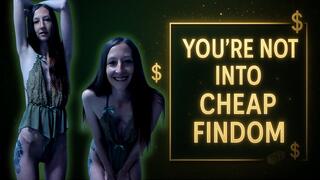 You’re Not Into Cheap Findom