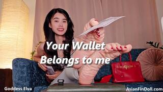 Your Wallet Is My Husband Now - Homewrecking Foot Findom Drain