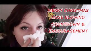 Merry Christmas Bose Blowing Countdown