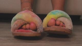 Slippers Teasing & Dangling with Rainbow Frenchie Pedicure.