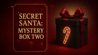 Secret Santa: Mystery Box Two
