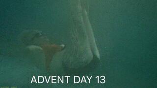 Advent Day 13