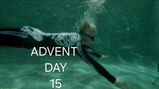 Advent Day 15