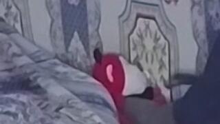 Guglielmo frusta e schiaffeggia col cazzo un peluches