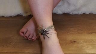 BBW feet worship #57