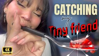 4k catching my tiny friend