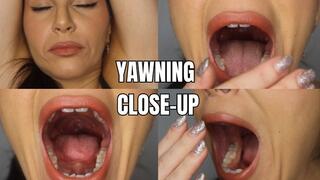 Close-up yawning - OnlyVanessa