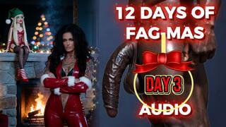 12 DAYS OF GAY-MAS AUDIO-DAY 3: Sissy Elf On The Shelf Begging For BBC Task