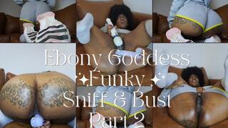 Ebony Goddess Funky Sniff & Bust Part 2