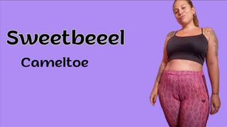 Pink Cameltoe Impossible to Ignore: Leggings So Tight They'll Take Your Breath Away