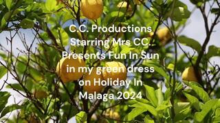 Wet Dress Sex On Holiday