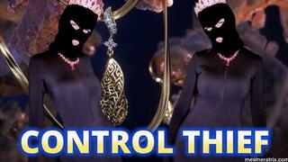 CONTROL THIEF